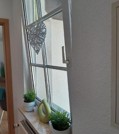 Ferienwohnung Salzmannhaus Zschopau Экстерьер фото
