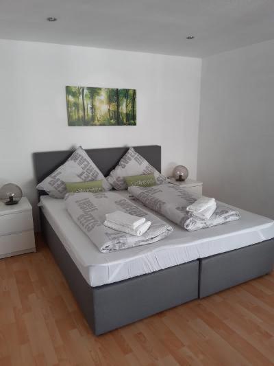 Ferienwohnung Salzmannhaus Zschopau Экстерьер фото